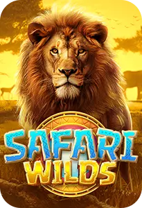 safari hit 7